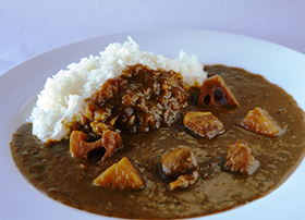 茨城県 土浦ツェッペリンカレー