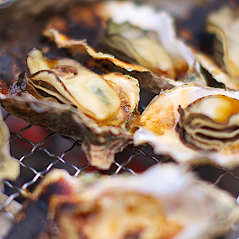 「豊前海一粒かき」のかき焼き祭り