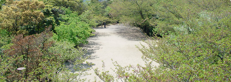 手向山公園