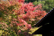 伯翠庵（はくすいあん）