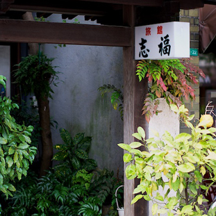 旅館 志福